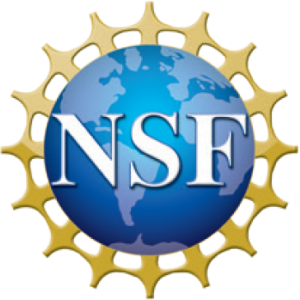 Logo_NSF